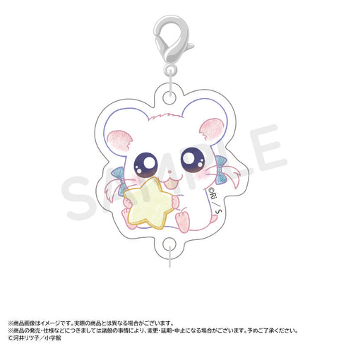 『とっとこハム太郎』~Twinkle Dreams~つながるアクリルチャーム【BOX】